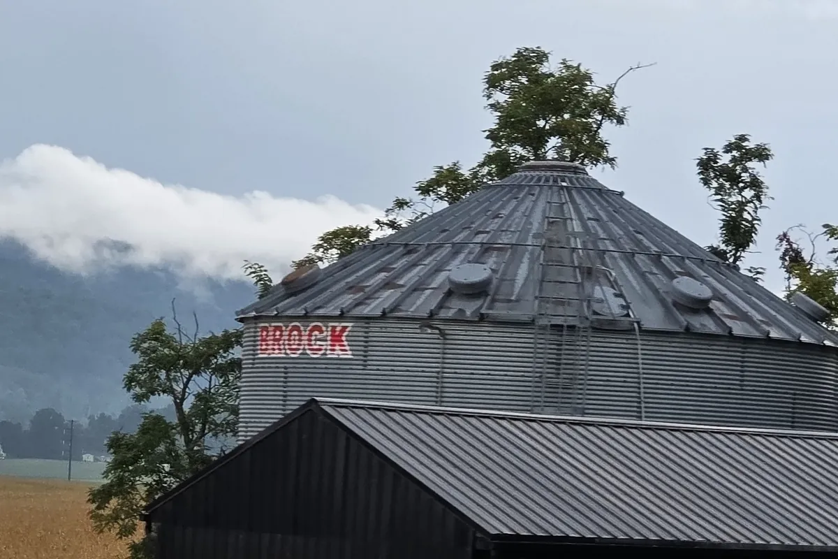 Grain storage bin standing in a field