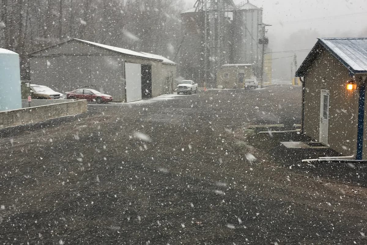 Farm buildings and a grain leg in falling snow