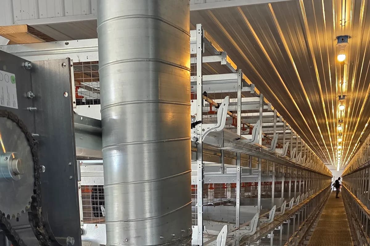 Sealed LED fixtures running the length of a poultry house aisle above the cage rows